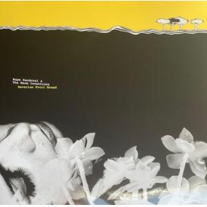 hope sandoval & the warm inventions (mazzy sta