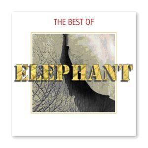 elephant: best of elephant