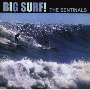 the sentinals: big surf!