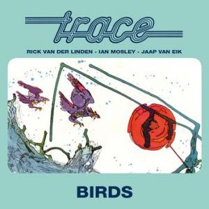 trace: birds
