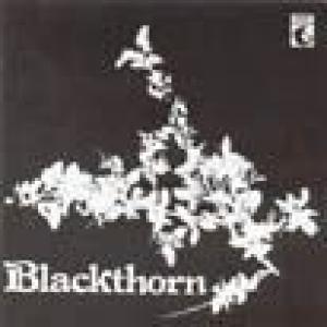 blackthorn: blackthorn