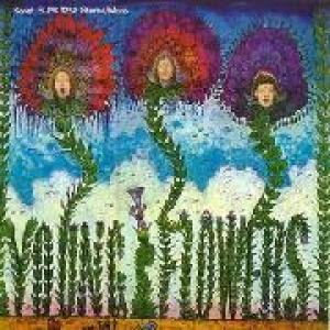 young flowers: blomsterpistolen