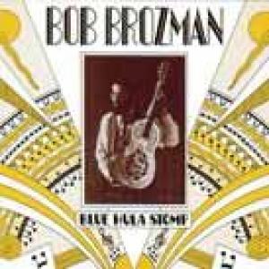 bob brozman: blue hula stomp