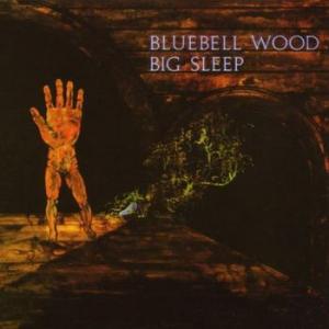 big sleep: bluebell wood
