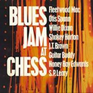 fleetwood mac, otis spann, willie dixon, shakey horton, j.t. brown, guitar buddy, honey boy edwards,: blues jam at chess