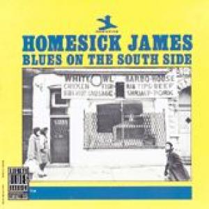homesick james: blues on the south side