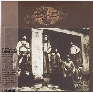 boondoggle & balderdash: boondoggle & balderdash