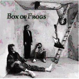 box of frogs: box of frogs / strangeland