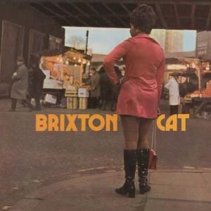 joe's all stars: brixton cat (coloured)