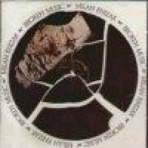 milan knizak: broken music