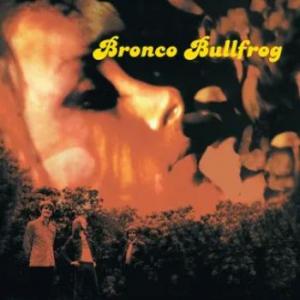 bronco bullfrog: bronco bullfrog