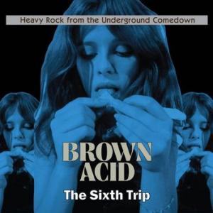 various: brown acid: the sixth trip