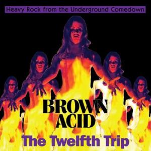 various: brown acid: the twelfth trip (heavy rock from the underground comedown)  white vinyl