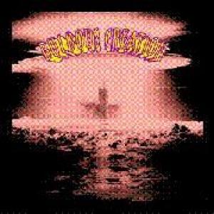 bulbous creation: bulbous creation