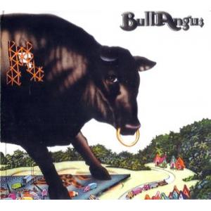 bull angus: bull angus
