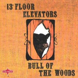 13th floor elevators: bull in the woods