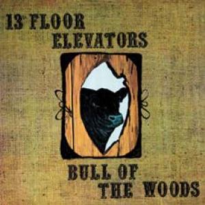 13th floor elevators: bull of the woods