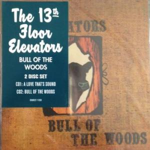 the 13th floor elevators: bull of the woods