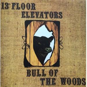 the 13th floor elevators: bull of the woods