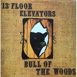 13th floor elevators: bull of the woods