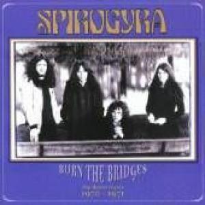 spirogyra: burn the bridges