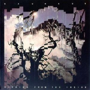 bauhaus: burning from the inside