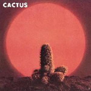 cactus: cactus
