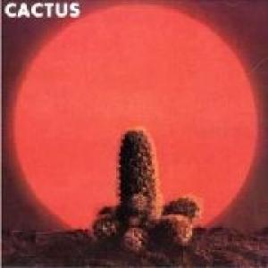 cactus: cactus