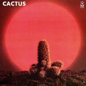 cactus: cactus (coloured)