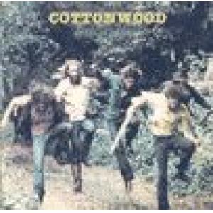 cottonwood: camaraderie