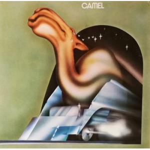 camel: camel