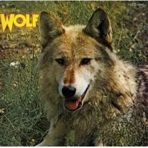 darryl way's wolf: canis lupus