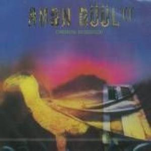 amon duul ll: carnival in babylon