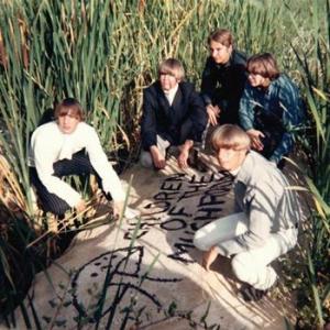 children of the mushroom: children of the mushroom