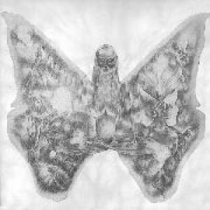 los canarios: ciclos