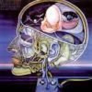 clearlight symphony: clearlight symphony