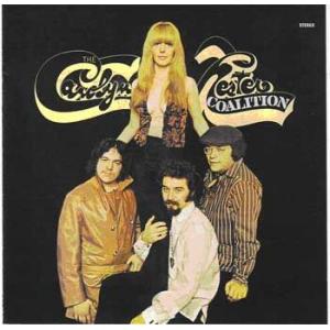 the carolyn hester coalition: coalition