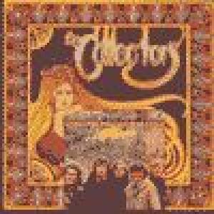 collectors: collectors / gras and wild strawberries