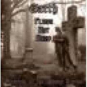 earth / flying hat band: coming of the heavy lords