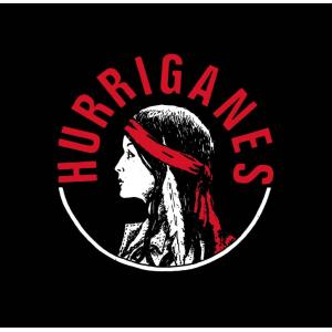 hurriganes: complete singles (black vinyl, black box)