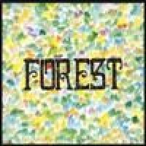 forest: concert