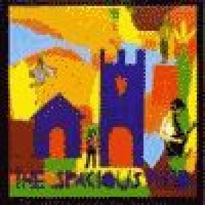 spacious mind: cosmic minds at play