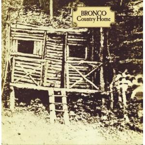 bronco: country home