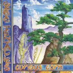 ozric tentacles: curious corn