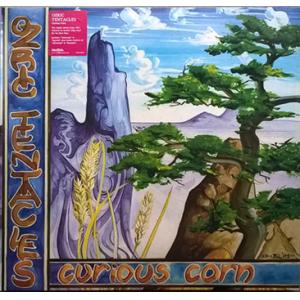 ozric tentacles: curious corn