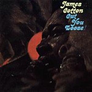 james cotton: cut you loose