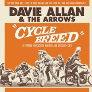 davie allan & the arrows: cycle breed
