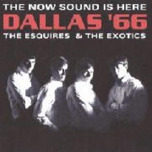 esquires / exotics: dallas 66 the now sound is here