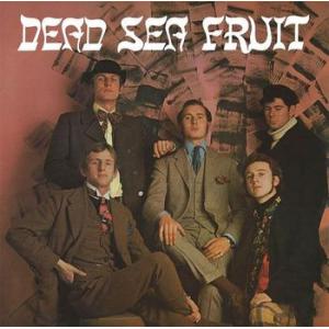 dead sea fruit: dead sea fruit