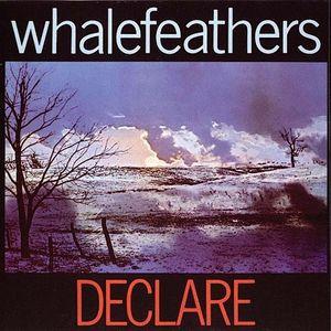 whalefeathers: declare